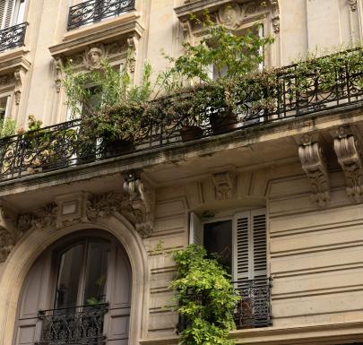 The Best Local Spots Around Maison Mère.