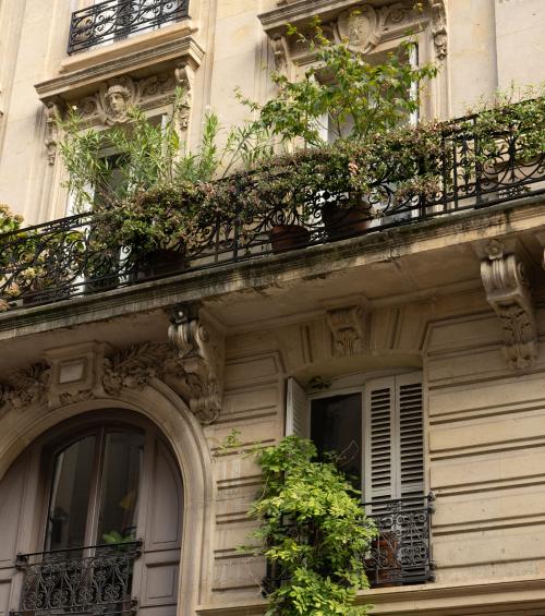 The Best Local Spots Around Maison Mère.