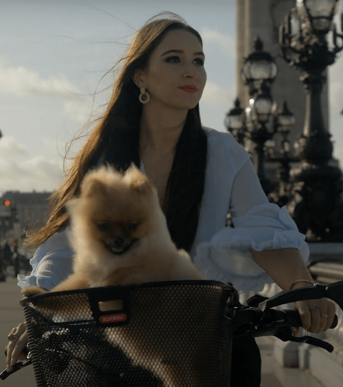 How to visit Paris with a dog?
