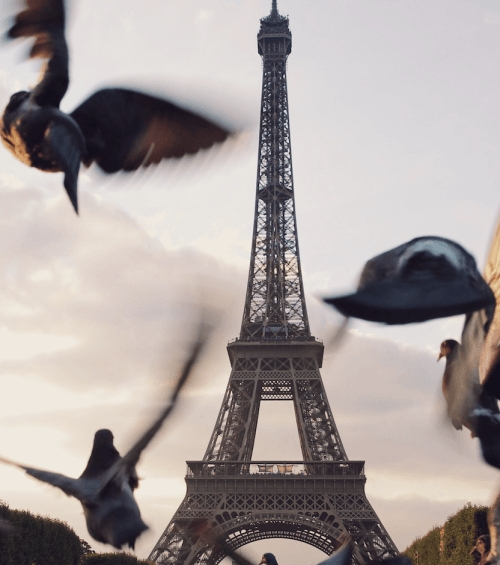 What to do if you have 2 days in Paris