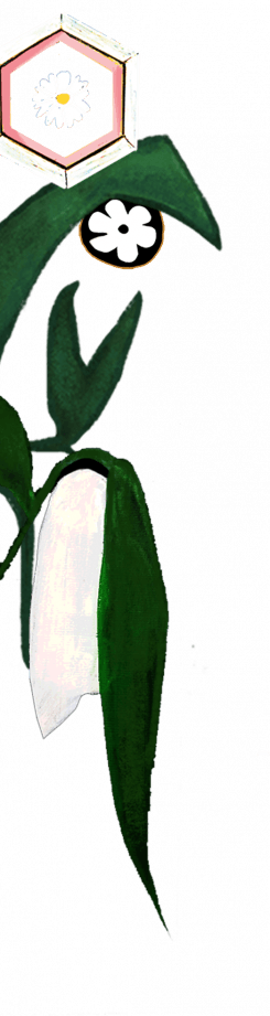 Maison Mère - Page Hey Honey