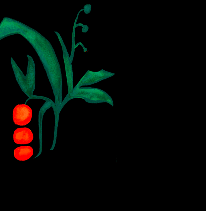 Maison Mère - Page Honey by night